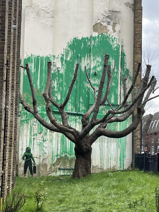 Banksy S New Tree Mural In North London S Hornsey Road A Commentary On