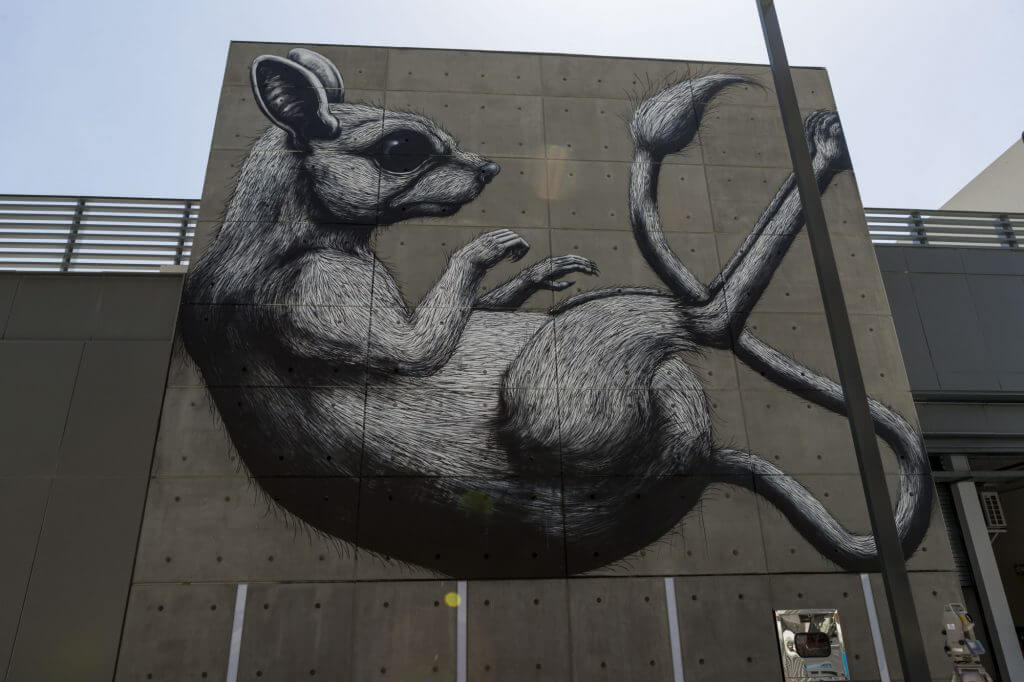 Roa Dubai Walls Street Art Festival