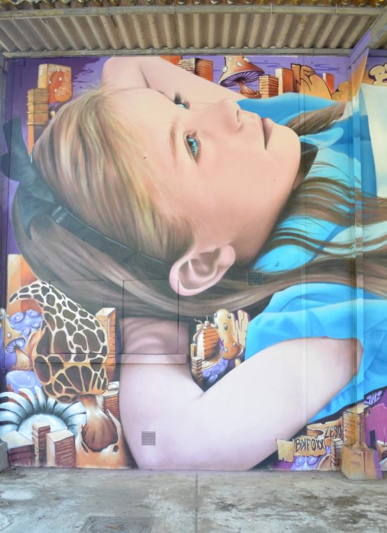 Street Artists BKfoxx and Zeso paint Alice's Wonderland, 2017