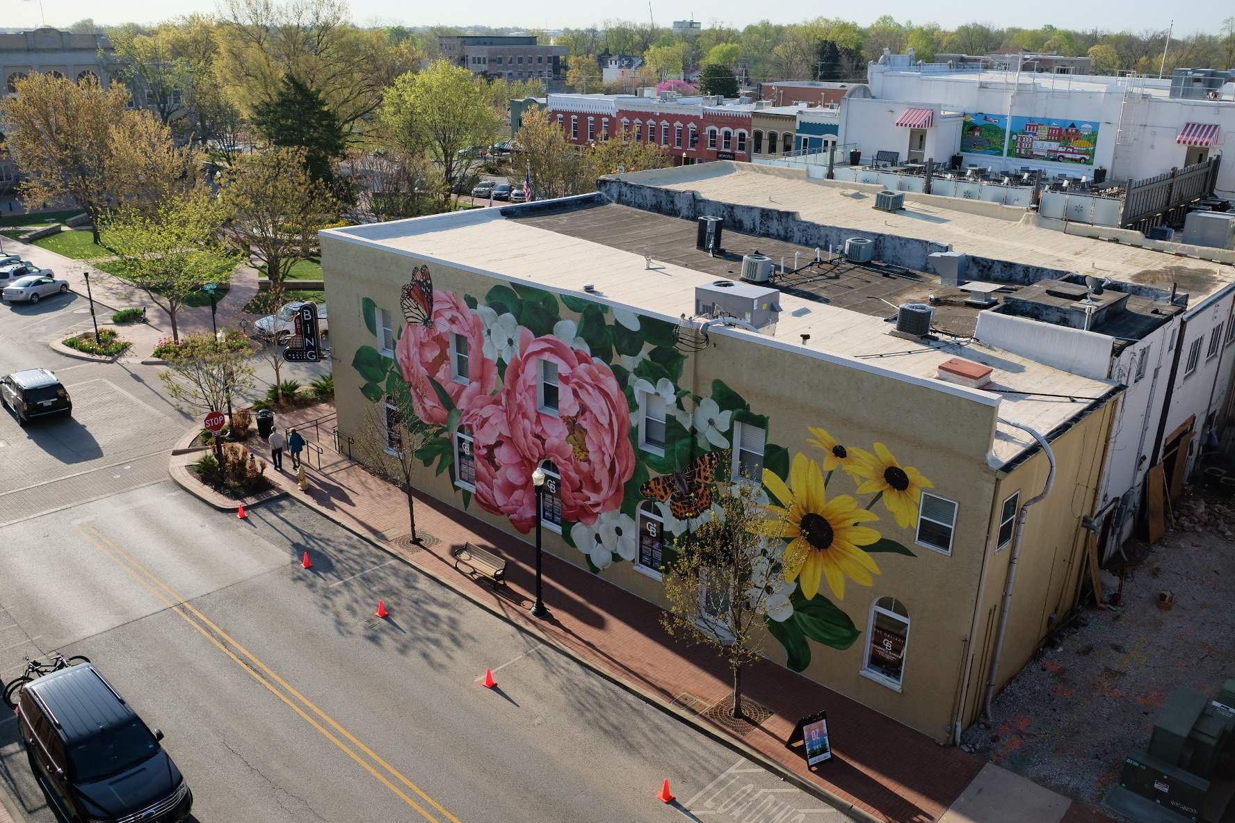 Street Artist Ouizi S Mural Flourishes In Downtown Bentonville 21