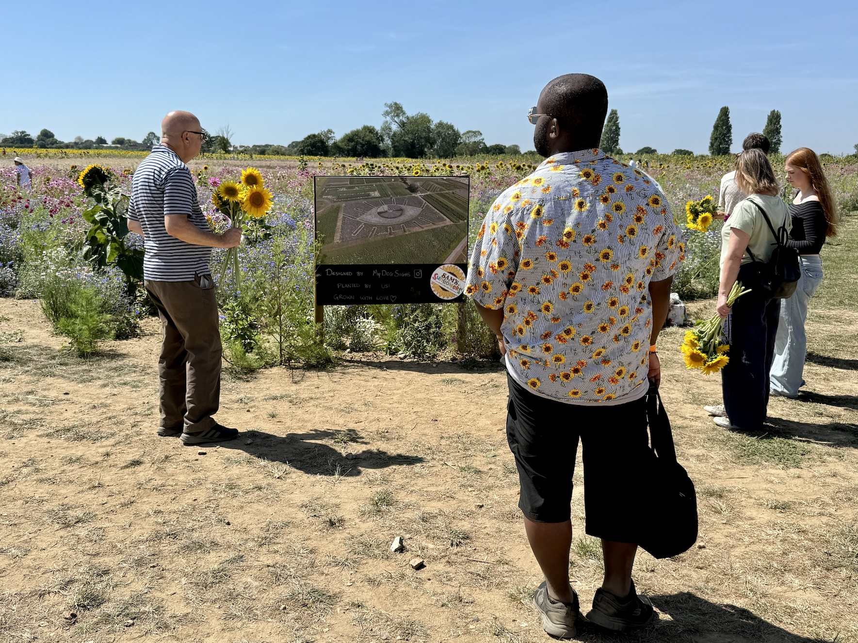 My Dog Sighs giant floral eye at Sam’s Sunflowers on Hayling Island in 2026